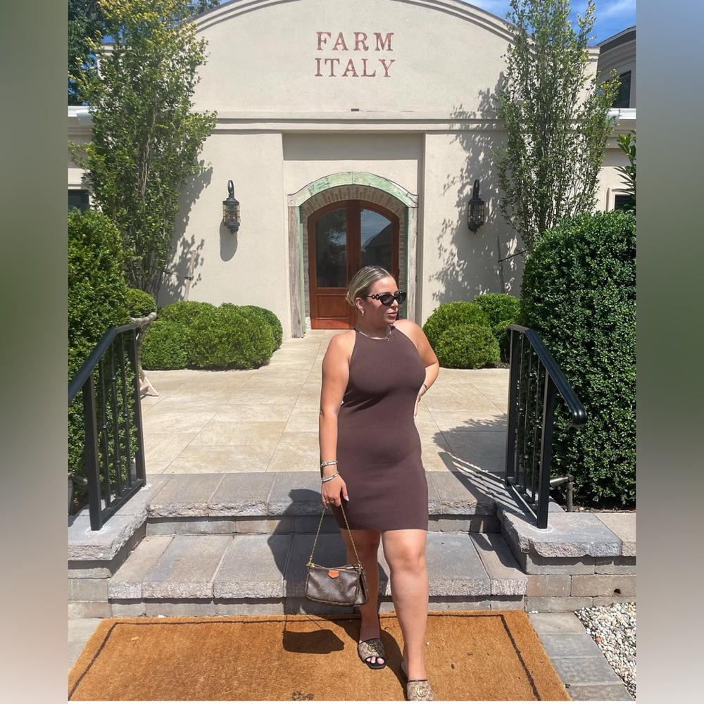 Aritzia Chocolate Brown Mini Dress with Cris’s cross back